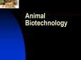 Animal Biotechnology Physiological Needs Animals need: Foo
