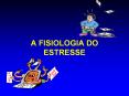 A FISIOLOGIA DO ESTRESSE Sistema Nervoso Gl ndula adrenal 