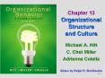 Chapter 13 Organizational Structure and Culture Michael A