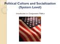Political Culture and Socialization (System Level