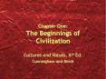 Chapter One: The Beginnings of Civilization Cultures an