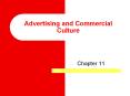 Advertising and Commercial Culture Chapter 11  You can tel
