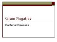 Gram Negative Bacterial Diseases Proteobacteria Alph