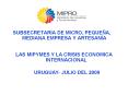 subsecretaria de micro, peque a, mediana empresa y artesan 