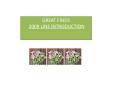 GREAT FINDS 2009 LINE INTRODUCTION GREAT FINDS: Quilte