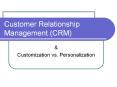 Customer Relationship Management (CRM) & Customization vs