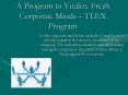 Transformational Leadership for Excellence