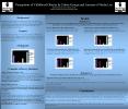 Perceptions of Childhood Obesity by Ethnic Groups and Amoun