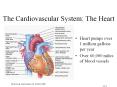 The Cardiovascular System: The Heart Heart pumps over 