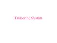 Endocrine System Review of Structure and Function Review o