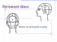 Permanent Wave History of permanent waving History Peopl