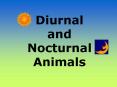 Diurnal and Nocturnal Animals Diurnal Animals Diurnal is 
