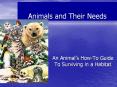 Animals and Their Needs An Animal s How-To Guide T