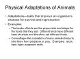 Physical Adaptations of Animals Adaptations traits tha