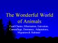 The Wonderful World of Animals Food Chains, Hibernation