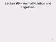 Lecture #9   Animal Nutrition and Digestion Key Concept