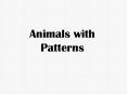 Animals with Patterns Reasons Animals Have Patterned Coat