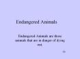 Endangered Animals Endangered Animals are those animals tha
