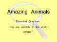 Amazing Animals Essential Question: How are animals in th