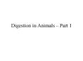 Digestion in Animals   Part 1 All Living things get foo