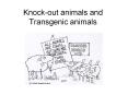 Knock-out animals and Transgenic animals ES cells Embryoni