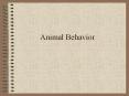 Animal Behavior Behavior What an animal does How it does i