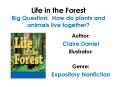 Life in the Forest Big Question: How do plants and animal