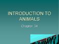 INTRODUCTION TO ANIMALS Chapter 34 Animal Basics 4 Definin