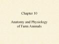 Chapter 10 Anatomy and Physiology of Farm Animals Reasons t