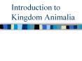 Introduction to Kingdom Animalia Characteristics of Animal