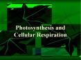 Photosynthesis and Cellular Respiration Outline I