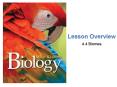 Lesson Overview 4.4 Biomes TUNDRA Biotic Factors   Plan