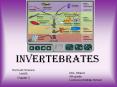 Invertebrates Harcourt Science Unit B Chapter 3 Mrs. Stran