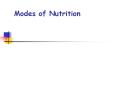 Modes of Nutrition Nutrition Processes by which organism