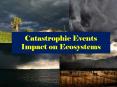 Catastrophic Events Impact on Ecosystem
