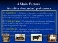 3 Main Factors that affect show animal performance 1.