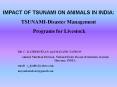 IMPACT OF TSUNAMI ON ANIMALS IN INDIA: TSUNAMI-Disaste