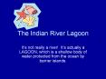 The Indian River Lagoon It s not really a river! It 