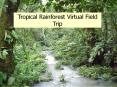 Tropical Rainforest Virtual Field Trip Tropical Rainfores