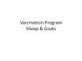 Vaccination Program Sheep & Goats * * * * * * * * * * * 