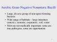Aerobic Gram-Negative Nonenteric Bacilli Large, divers