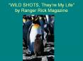  WILD SHOTS, They re My Life  by Ranger Rick Magazine M