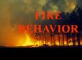 FIRE BEHAVIOR * * * * * * Concentrated vs. dispersed fuels 