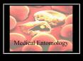 Medical Entomology Insects of Medical Importance Directl