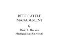 BEEF CATTLE MANAGEMENT by David R. Hawkins Michigan Stat
