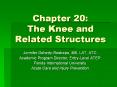 Chapter 20: The Knee and Related Structures Jennife