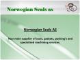 Norwegian Seals AS Your main supplier of seals, gaskets