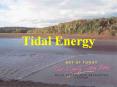 Tidal Energy Energy from the moon Tides generated by th