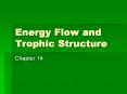 Energy Flow and Trophic Structure Chapter 14 Energy Captur