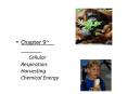 Chapter 9~ Cellular Respiration: Harvesting Chemical Energ
